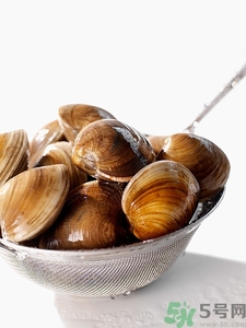 蛤蜊怎么吐沙?蛤蜊吐沙最快的方法 蛤蜊怎么吐沙?蛤蜊吐沙最快的方法