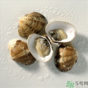 蛤蜊怎么吐沙?蛤蜊吐沙最快的方法 蛤蜊怎么吐沙?蛤蜊吐沙最快的方法