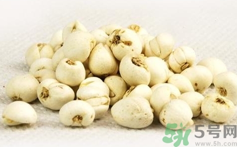 川貝可以直接泡水喝嗎?川貝能直接泡水喝嗎? 川貝可以直接泡水喝嗎?川貝能直接泡水喝嗎?