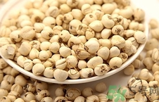 川貝可以直接泡水喝嗎?川貝能直接泡水喝嗎? 川貝可以直接泡水喝嗎?川貝能直接泡水喝嗎?