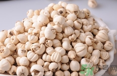 川貝可以直接泡水喝嗎?川貝能直接泡水喝嗎? 川貝可以直接泡水喝嗎?川貝能直接泡水喝嗎?