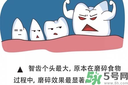 智齒橫著長怎么辦？智齒橫著長一定要拔了嗎？