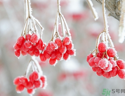 霜降是幾月幾日？霜降是什么意思？