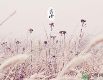 霜降是幾月幾日？霜降是什么意思？