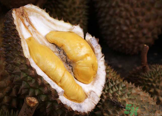 榴蓮一次吃多少合適？榴蓮一天最多吃多少？