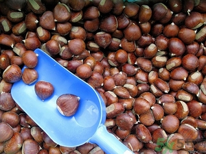 吃板栗肚子脹氣怎么辦？吃板栗對胃好嗎？