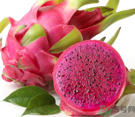 紅心火龍果是轉(zhuǎn)基因嗎？紅心火龍果是不是轉(zhuǎn)基因？