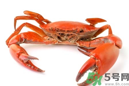 懷孕可以吃螃蟹嗎？懷孕吃了螃蟹怎么辦？