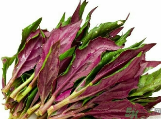 補血菜譜家常做法?補血菜的功效與作用 補血菜譜家常做法?補血菜的功效與作用