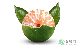 孕婦可以吃青桔子嗎？青桔子孕婦可以吃嗎？