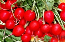 蘿卜纓的營(yíng)養(yǎng)價(jià)值 蘿卜纓的功效與作用 蘿卜纓的營(yíng)養(yǎng)價(jià)值 蘿卜纓的功效與作用