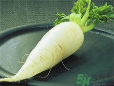 蘿卜纓的營(yíng)養(yǎng)價(jià)值 蘿卜纓的功效與作用 蘿卜纓的營(yíng)養(yǎng)價(jià)值 蘿卜纓的功效與作用