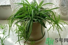 怎樣凈化室內(nèi)空氣？如何凈化家里的空氣？