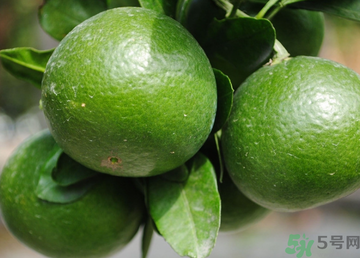 孕婦可以吃桔子嗎？孕婦能吃桔子嗎？