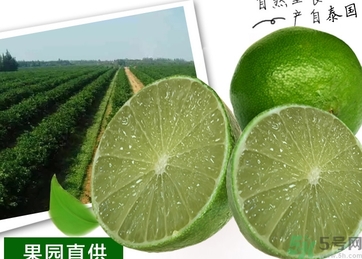 泰國(guó)檸檬怎么吃？泰國(guó)檸檬的功效作用