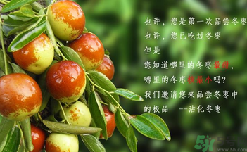 晚上吃棗子會(huì)胖嗎？晚上吃新鮮棗子會(huì)胖嗎？