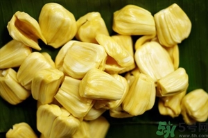 菠蘿蜜剝開后怎么保存?剝好的菠蘿蜜怎么保存? 菠蘿蜜剝開后怎么保存?剝好的菠蘿蜜怎么保存?