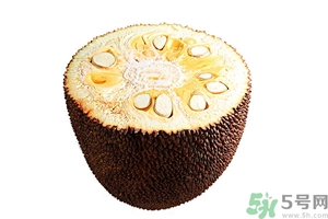 菠蘿蜜剝開后怎么保存?剝好的菠蘿蜜怎么保存? 菠蘿蜜剝開后怎么保存?剝好的菠蘿蜜怎么保存?