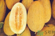 便秘可以吃哈密瓜嗎？哈密瓜可以治療便秘嗎？