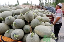 便秘可以吃哈密瓜嗎？哈密瓜可以治療便秘嗎？