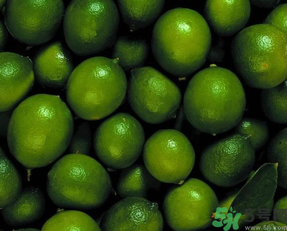 青桔子糖分高嗎？青桔子的熱量