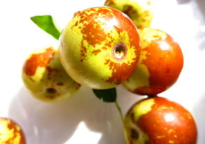 吃新鮮棗子會胖嗎？吃新鮮棗子會長胖嗎？