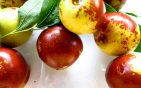 吃新鮮棗子會胖嗎？吃新鮮棗子會長胖嗎？