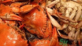 螃蟹剛死能吃嗎？剛死的螃蟹怎么保存