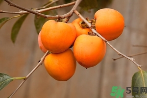 柿子和螃蟹一起吃有毒嗎？柿子不能和什么同食？