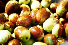 冬棗為什么會苦?冬棗發(fā)苦是怎么回事? 冬棗為什么會苦?冬棗發(fā)苦是怎么回事?