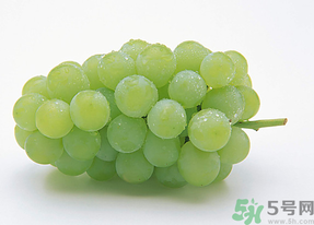 新鮮葡萄能放冰箱嗎？新鮮葡萄的保存方法