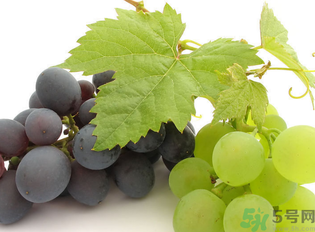 新鮮葡萄籽可以吃嗎？葡萄籽有什么作用？
