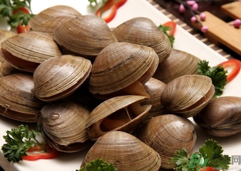 蜆子煮多長時間？蜆子怎么煮？