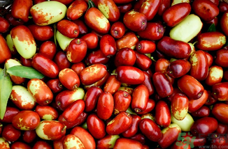 新鮮紅棗補(bǔ)血嗎？吃新鮮紅棗補(bǔ)血嗎？