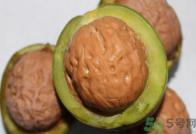 干核桃和濕核桃哪個(gè)好？干核桃和濕核桃的區(qū)別