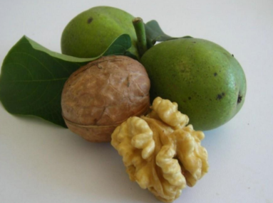 生核桃怎么保存？生核桃怎么保存最好？