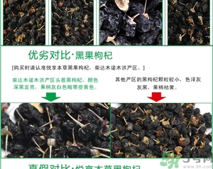 怎樣辨別野生黑枸杞?野生黑枸杞真假辨別圖 怎樣辨別野生黑枸杞?野生黑枸杞真假辨別圖