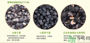 怎樣辨別野生黑枸杞?野生黑枸杞真假辨別圖 怎樣辨別野生黑枸杞?野生黑枸杞真假辨別圖