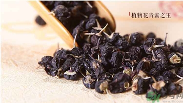 怎樣辨別野生黑枸杞?野生黑枸杞真假辨別圖 怎樣辨別野生黑枸杞?野生黑枸杞真假辨別圖