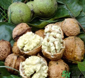 新鮮核桃吃多了會(huì)怎么樣？新鮮核桃吃多了會(huì)上火嗎？