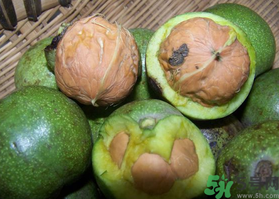 新鮮核桃吃多了會(huì)怎么樣？新鮮核桃吃多了會(huì)上火嗎？