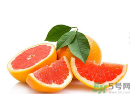 孕婦能吃葡萄柚嗎？孕婦可以吃葡萄柚嗎？