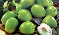 吃青棗可以補(bǔ)血嗎?青棗補(bǔ)血效果怎么樣 吃青棗可以補(bǔ)血嗎?青棗補(bǔ)血效果怎么樣