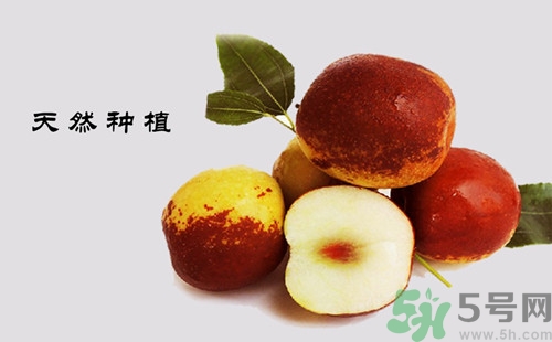 冬棗冷凍后還可以吃嗎?冬棗可以抗凍嗎 冬棗冷凍后還可以吃嗎?冬棗可以抗凍嗎