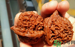 核桃長蟲了還能吃嗎？核桃長蟲子怎么處理？