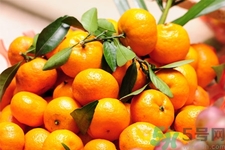 小孩可以吃橘子嗎？小孩一天可以吃幾個橘子？