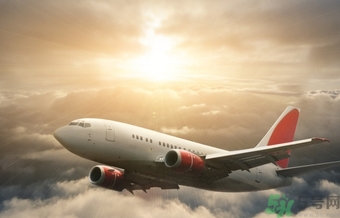 懷孕兩個月可以坐飛機嗎？懷孕兩個月坐飛機注意事項