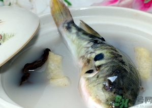 秋天喝什么魚湯好?秋天喝魚湯有什么好處? 秋天喝什么魚湯好?秋天喝魚湯有什么好處?