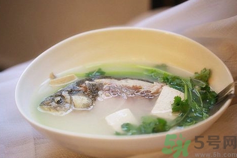 秋天喝什么魚湯好?秋天喝魚湯有什么好處? 秋天喝什么魚湯好?秋天喝魚湯有什么好處?