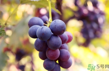 葡萄酒起白沫是怎么回事？葡萄酒起白沫怎么辦？